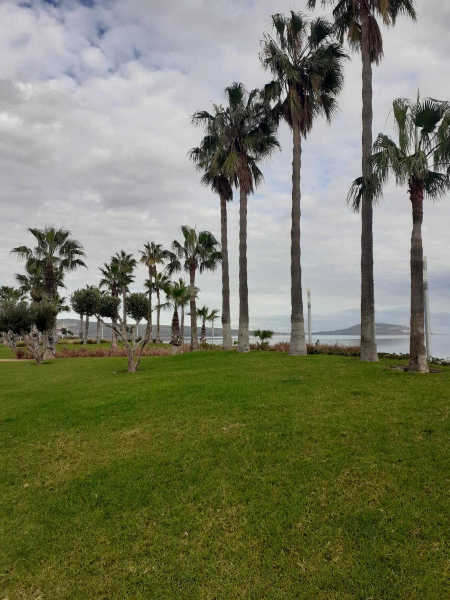 Cerca Del Mar *